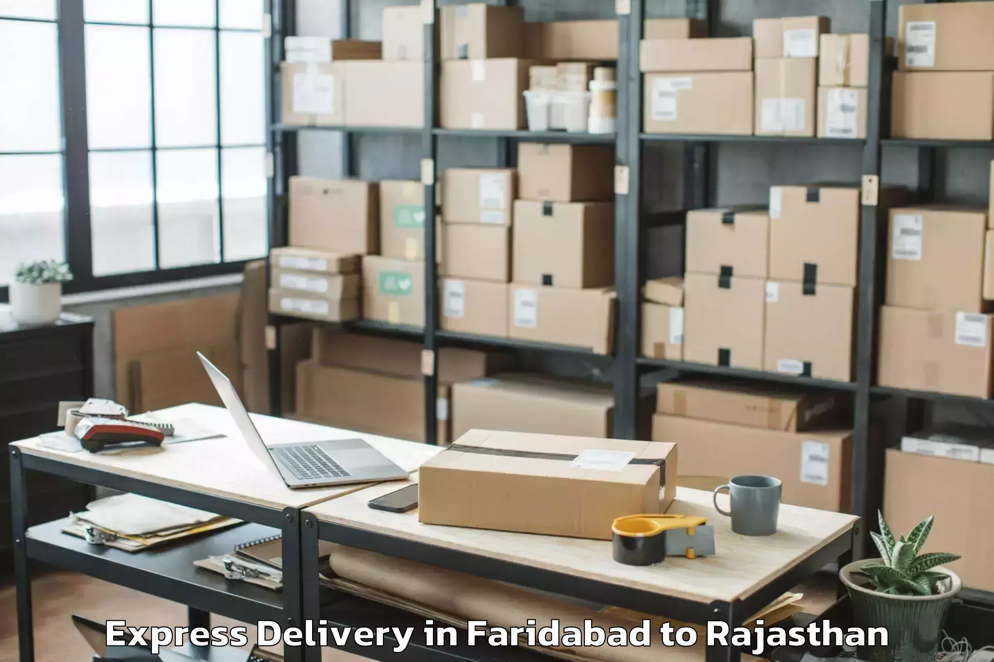 Quality Faridabad to Jhadol Express Delivery